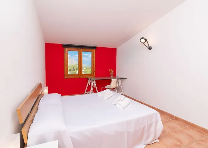 Pep By Sealand Pollensa